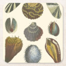 Suche nach pastell untersetzer Koralle