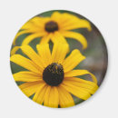 Recherche de observé magnets Plante