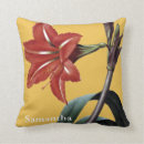 Recherche de amaryllis Illustration d'amaryllis