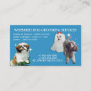 Recherche de petit chien cartes visite Animal familier