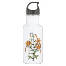 Suche nach tigerlilie Bouquet