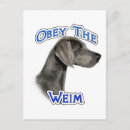Suche nach weimaraner hund postkarten Rasse