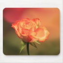 Suche nach rosen blumen mousepads Fotografie