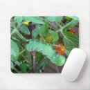 Recherche de plantes vertes tapis souris Feuille