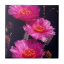 Recherche de christopher carreaux Botanique