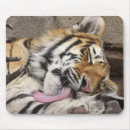 Suche nach stillstehen mousepads Wild lebende tiere