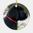 Suche nach black lab ornamente Labrador retriever