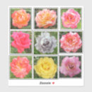 Recherche de vars autocollants Rose