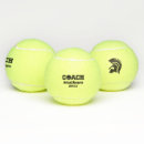 Recherche de unique tennis balles Équipe
