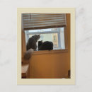 Recherche de fenetre cartes postales Animaux