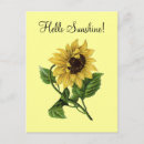 Recherche de tournesol jaune cartes postales Soleil
