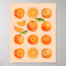 Recherche de agrumes art Orange