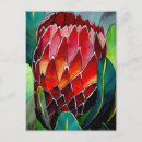 Suche nach protea postkarten Australische blume