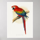Recherche de ara bleu art Oiseau