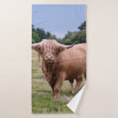 Recherche de klaxons maison deco Vaches