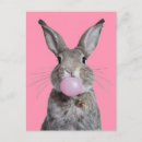 Recherche de bubble gum cartes postales Lapin
