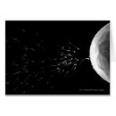 Recherche de spermies cartes postales Oeuf