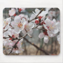 Suche nach kirschblüten mousepads Natur