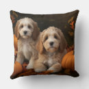 Recherche de cockapoo coussins Animal de compagnie