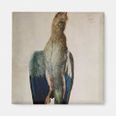 Suche nach dürer magnete Duerer