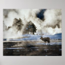 Recherche de côté sauvage posters Horizontal