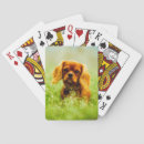 Recherche de caverne jeux de cartes Animal
