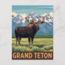 Recherche de teton cartes postales Usa