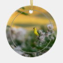 Suche nach siegel ornamente Tierwelt