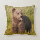 Suche nach lustiger bär kissen Niedlich