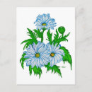 Suche nach margeriten postkarten Blume