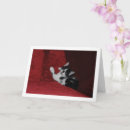 Suche nach sofa karten Kätzchen