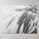 Recherche de plumes roses posters Toute personne