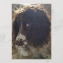 Recherche de 5x7 vœux cartes Amour