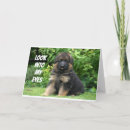Recherche de shepard vœux cartes Chiot