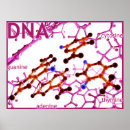 Suche nach thymine Dna