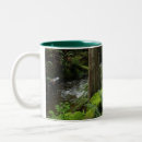 Recherche de fougère tasses Forêts tropicales