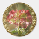 Suche nach geheim magnete Mutter