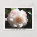 Recherche de délicat cartes postales Fleur
