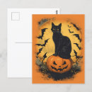 Suche nach halloween katze postkarten Herbst