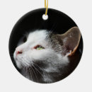 Recherche de tabby cat ornements Chat