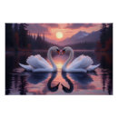 Suche nach schwan poster Schwäne