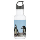 Suche nach pinguin trinkflaschen Vögel