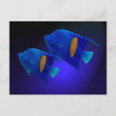 Suche nach blaue fische poster Unterwasser