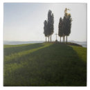 Recherche de cyprès carreaux Agriculture