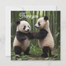 Suche nach pandas karten Generativitätsinhalt
