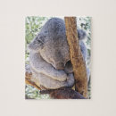 Recherche de koala puzzles Faune