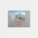 Suche nach nagetier post it Niedlich