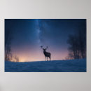 Suche nach wildes tier poster Umwelt