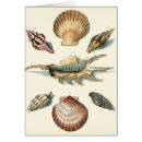 Suche nach wolfgang postkarten Meer