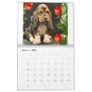 Recherche de basset calendriers Chiot